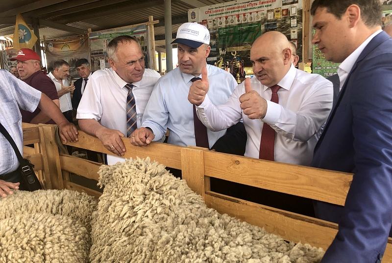 Стратегию развития российского козоводства и овцеводства готов разработать Минсельхоз РФ