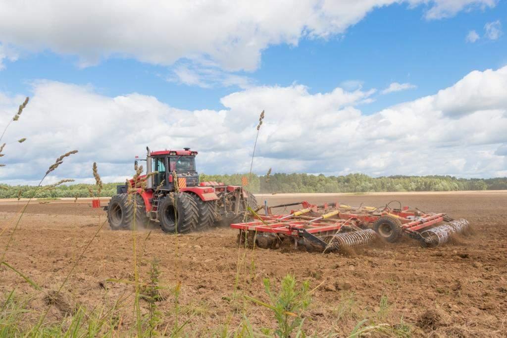 В Правительстве РФ утвердили новые признаки неиспользуемых сельхозземель