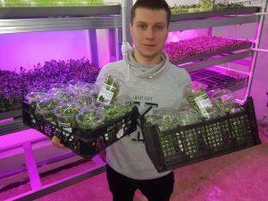 Волгоградец основал первую в регионе городскую ферму по выращиванию микрозелени